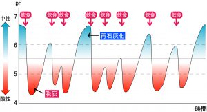 間食が多い場合、歯が脱灰される時間が長くなるため、虫歯になりやすい。