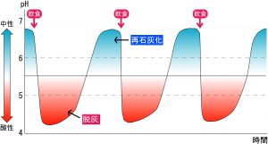 唾液の緩衝能が低い場合、酸が中和されるのに時間がかかり、規則正しい食事でも虫歯になりやすい。